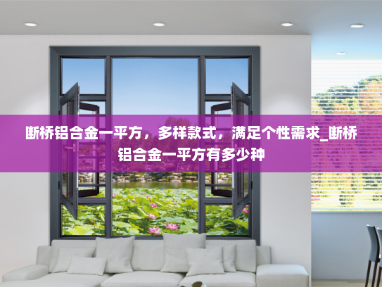 断桥铝合金一平方，多样款式，满足个性需求_断桥铝合金一平方有多少种