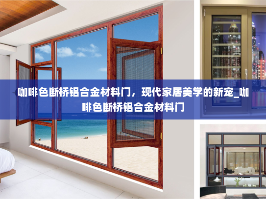 咖啡色断桥铝合金材料门，现代家居美学的新宠_咖啡色断桥铝合金材料门
