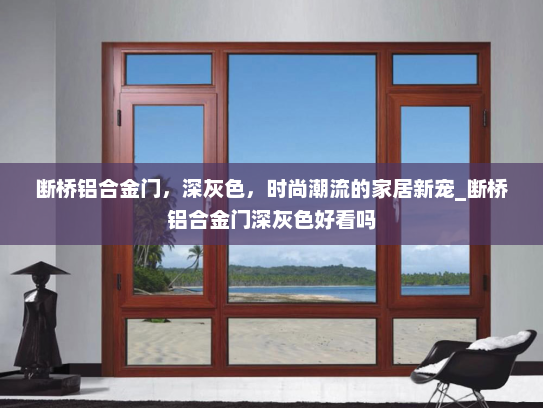 断桥铝合金门，深灰色，时尚潮流的家居新宠_断桥铝合金门深灰色好看吗